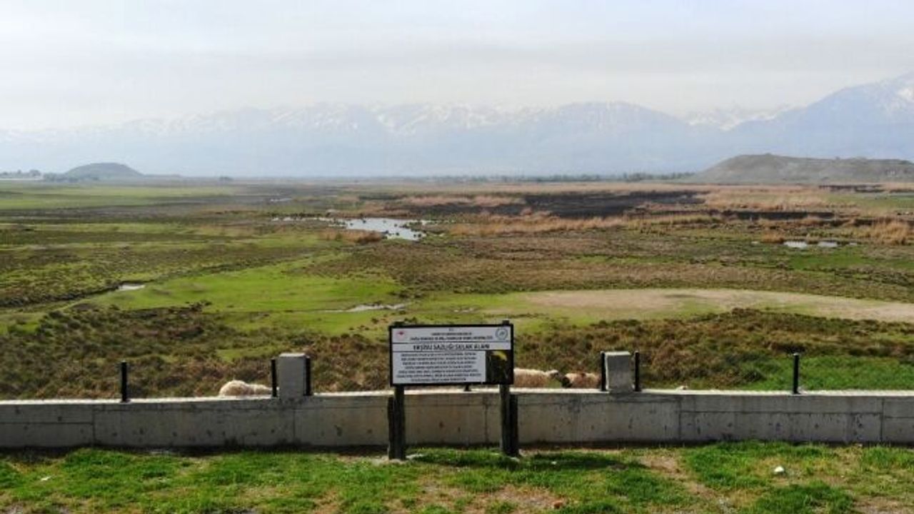 Göçmen kuşların Afrika- Asya yolculuğunun mola noktası: Ekşisu Sazlığı Sulak Alanı