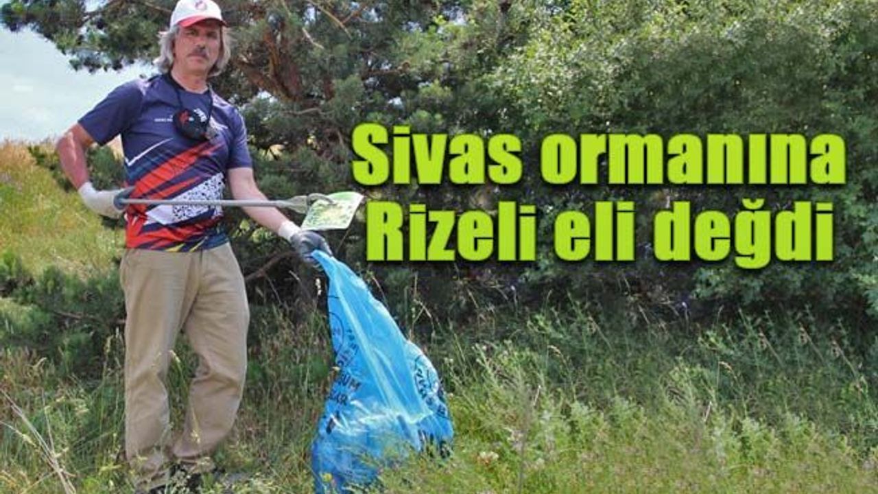 Sivas ormanına Rizeli eli değdi