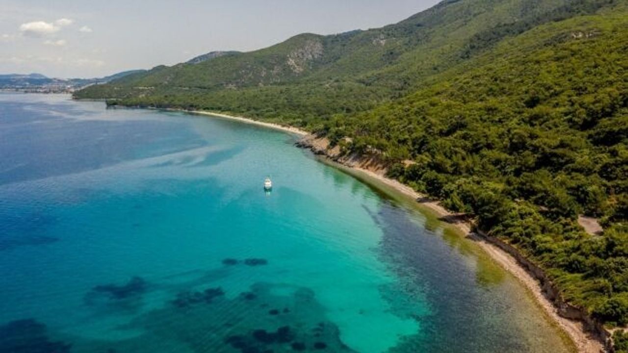 Valilik önlem aldı, ormanlık alanlara girişler yasaklandı