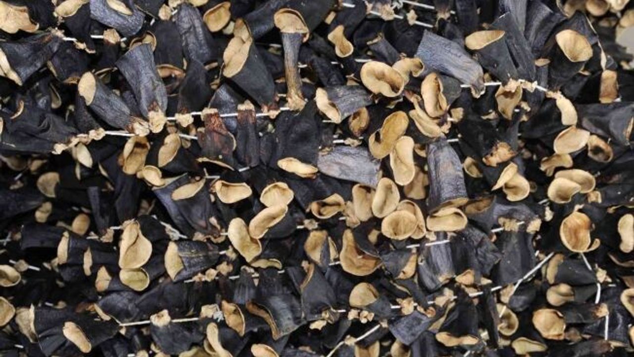 20 bin TL değerindeki kurutulmuş patlıcan çalındı, polis kıskıvrak yakaladı