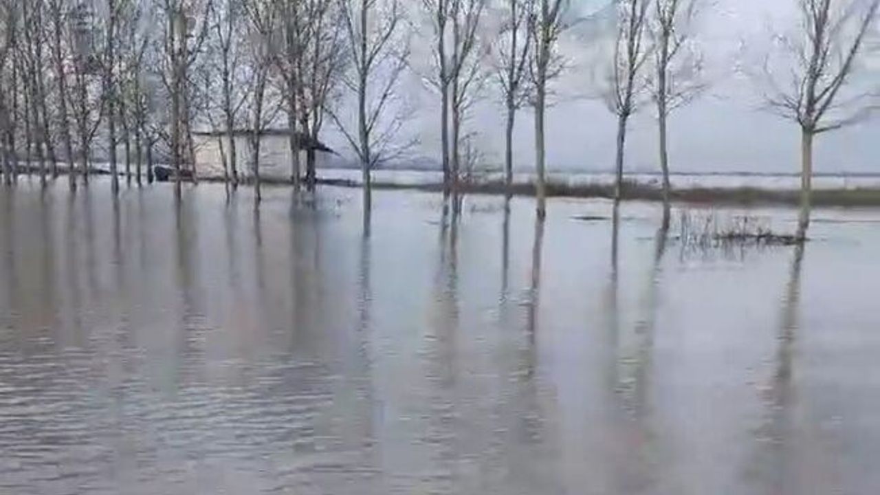 Meriç Nehri’nde taşkın alarmı: Köy halkı kayıkla geziyor