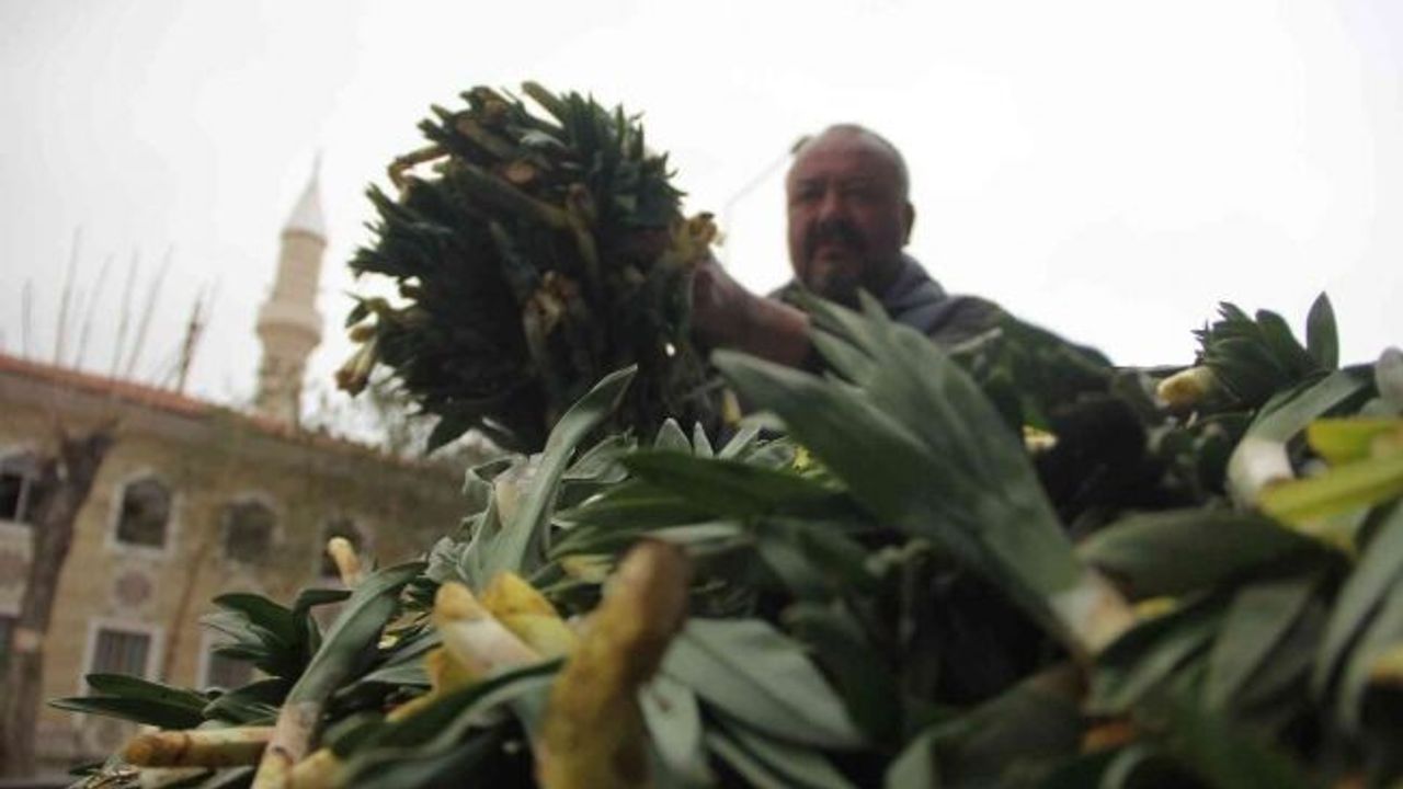 Lezzet ve şifa deposu yabani pırasa tezgâhlarda yerini aldı