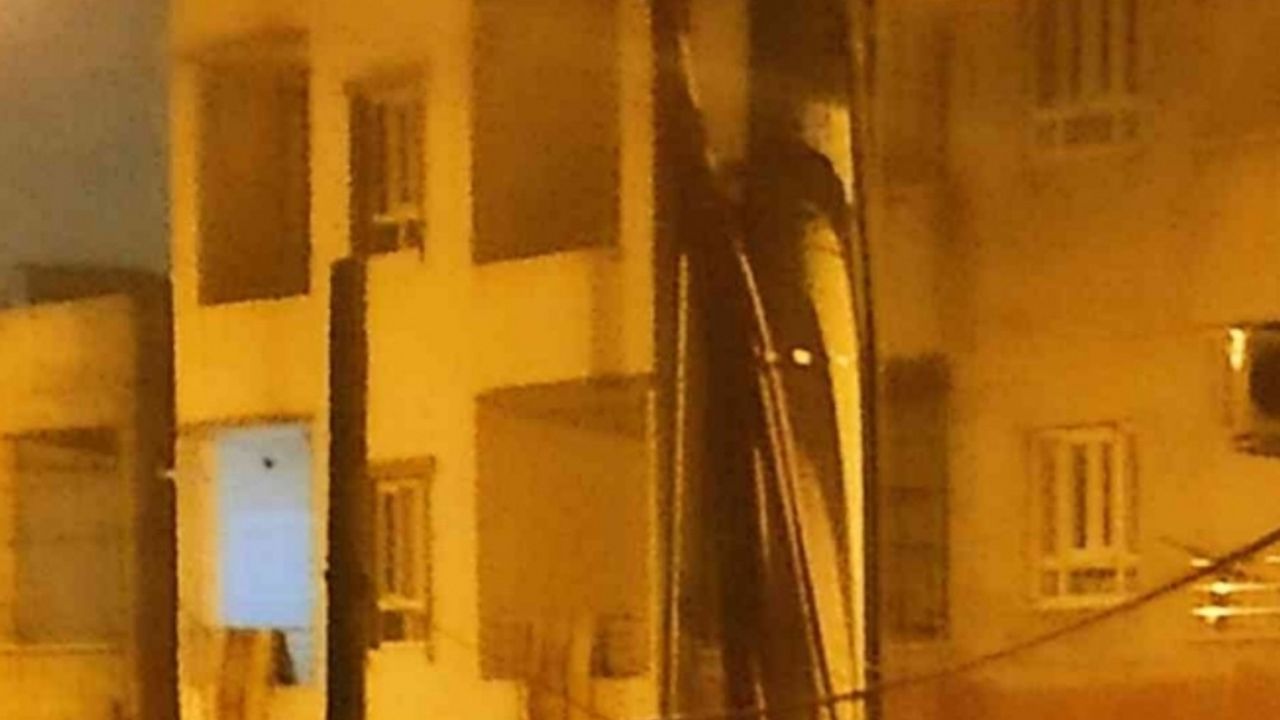 gay cat BATMAN'DA BÜYÜK UYUŞTURUCU OPERASYONU : Batman Objektif Gazetesi
