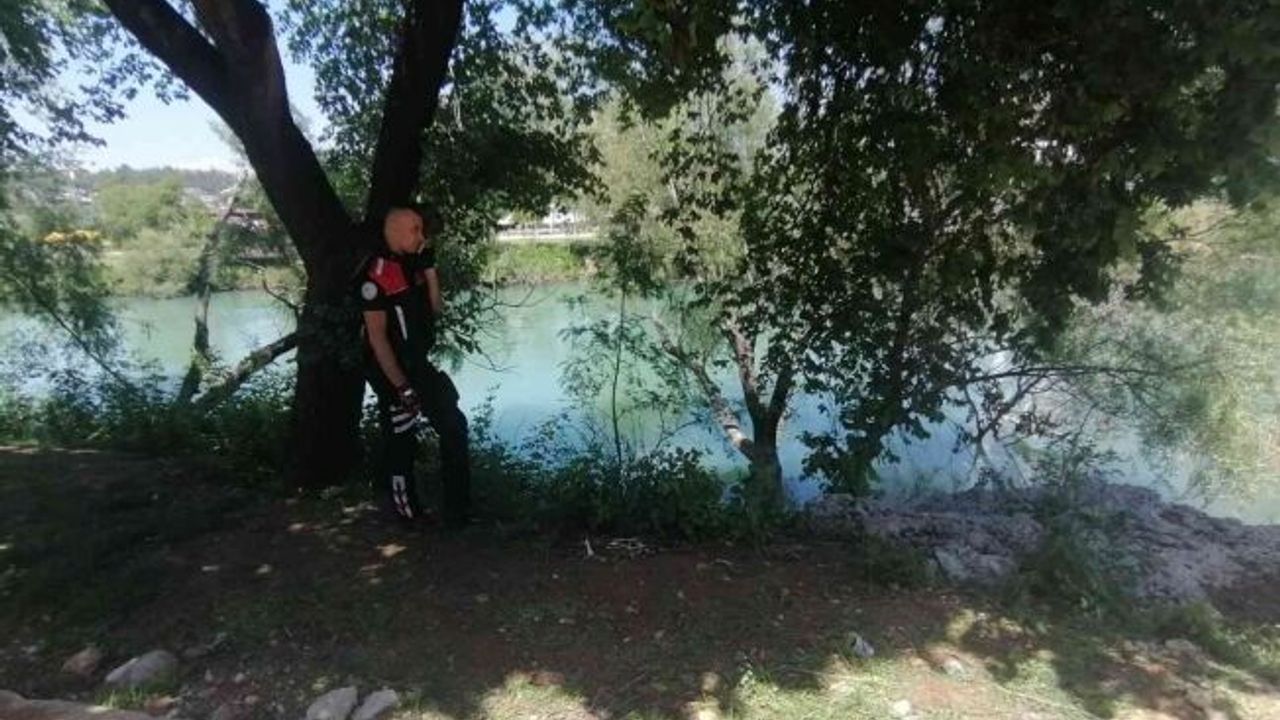 Dengesini kaybedip 2 metre yükseklikten düşen adamı böğürtlen dalları kurtardı