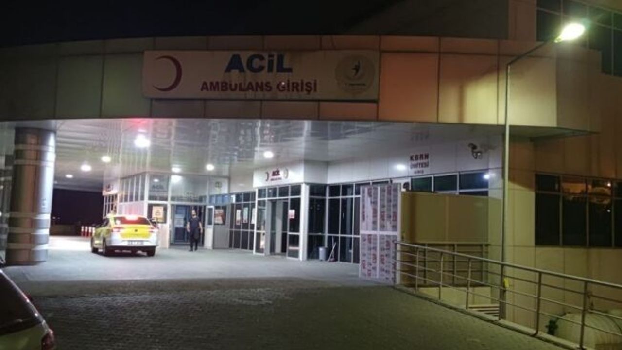 Ayı saldırısına uğrayan ve yaralanan çobanı köpekler kurtardı