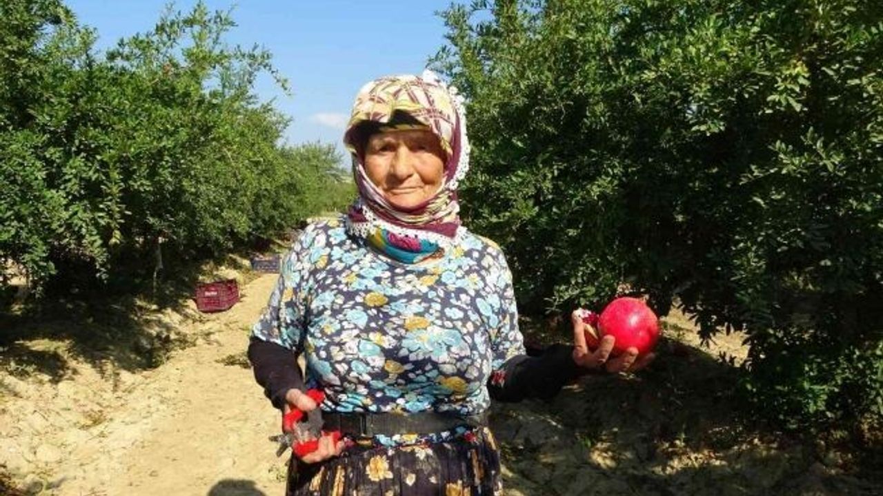 Tarlada çalışan 64 yaşındaki Zehra Teyze, gençlere taş çıkartıyor