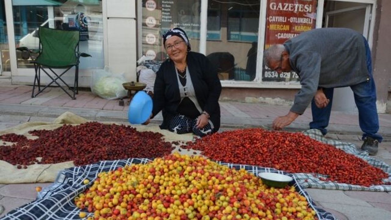 Tercan dağlarında yetişen yaban meyveleri pazar tezğahlarını süslüyor