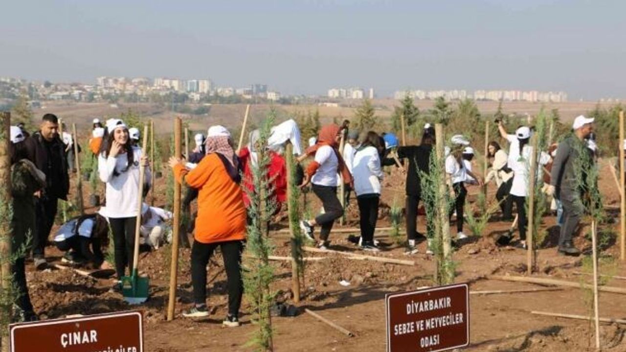 Yüzde 24’ü ormanlık olan Diyarbakır’a 4 bin yeni fidan