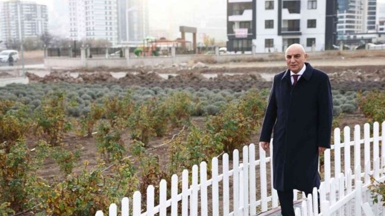 Keçiören’in lavanta ve gül bahçesi genişletiliyor