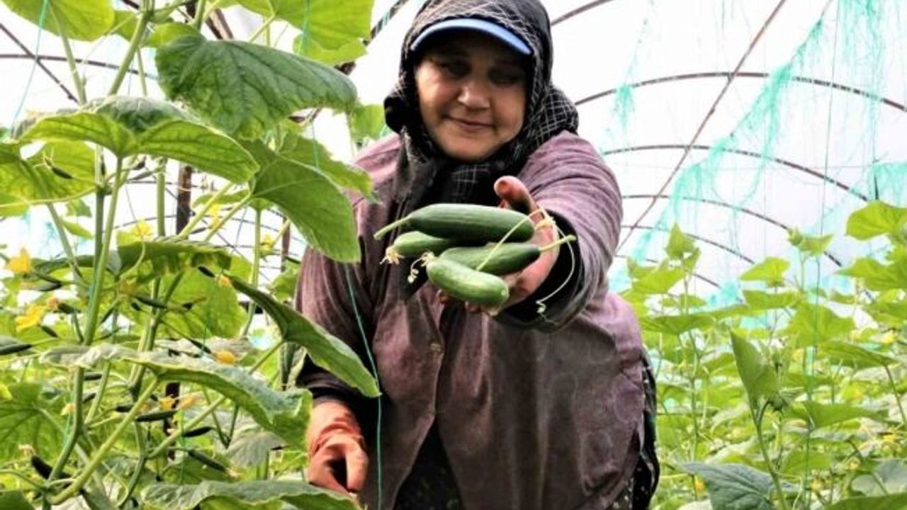 Antalya Hali’nde bahar hareketliliği: Ürün fiyatları yüzde 50 düştü