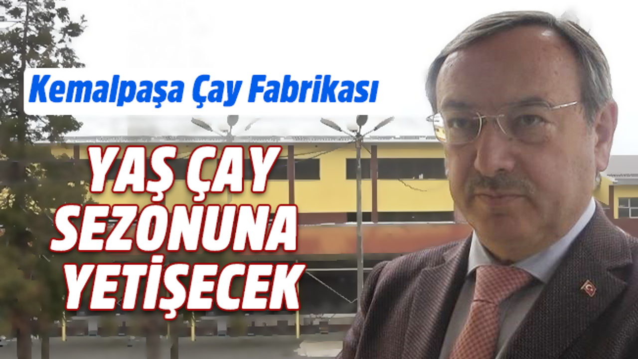 ÇAYKUR Genel Müdürü Alim: “Fabrika çay sezonuna yetişecek”