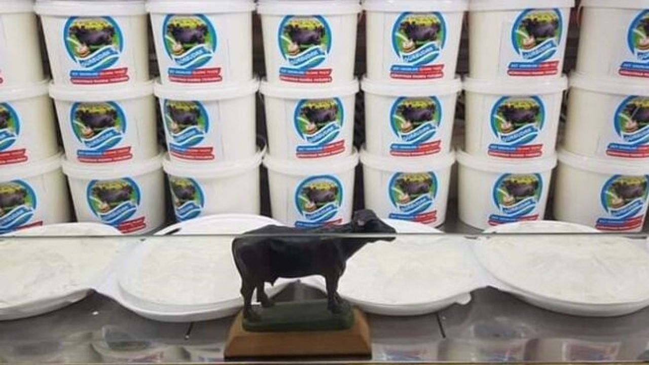 Güroymak’ta süt ürünlerinde markasını oluşturdu