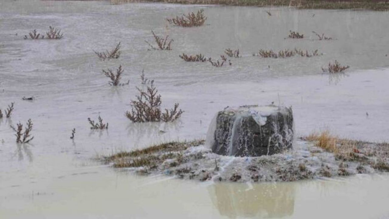 Kars’ta peynir altı sularının oluşturduğu gölet etrafa pis koku yayıyor