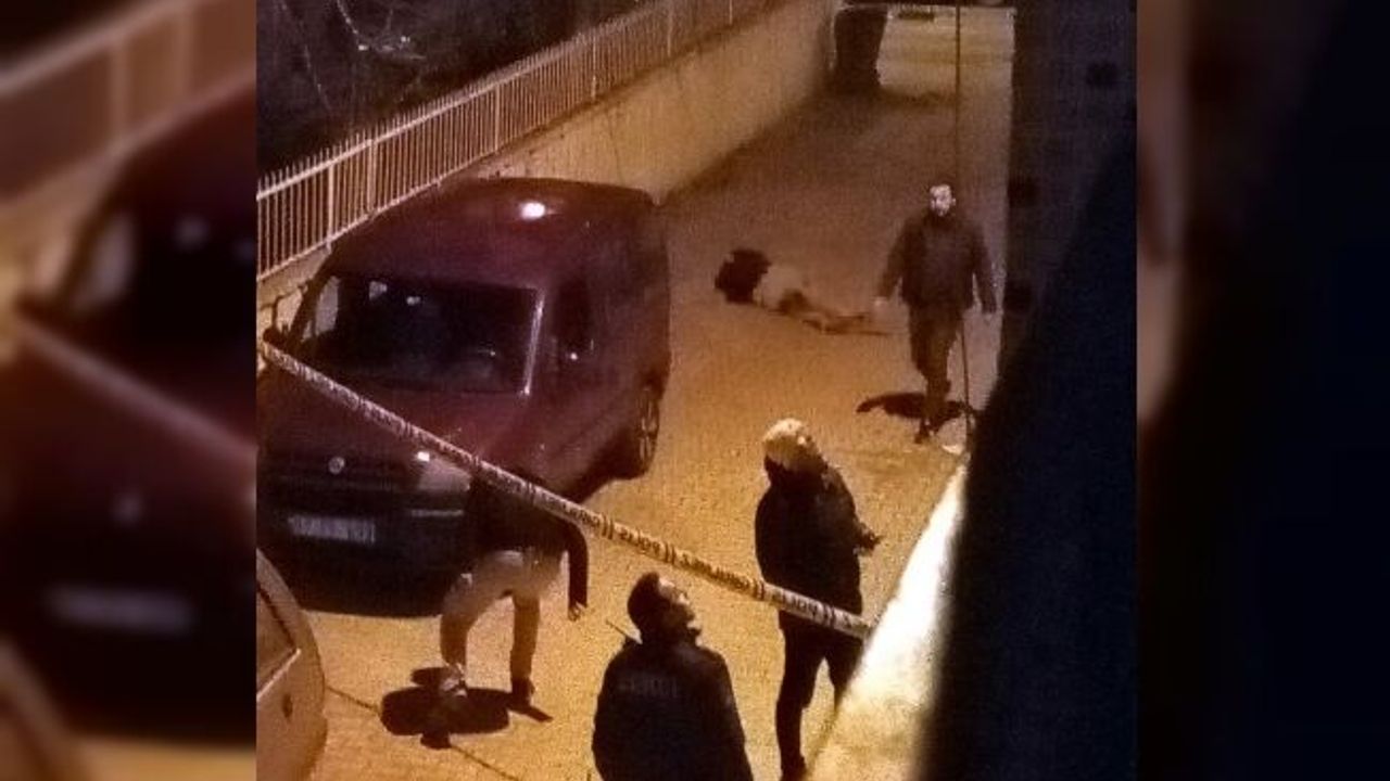 Tartıştığı baba ve oğlunu sokak ortasında öldürdü