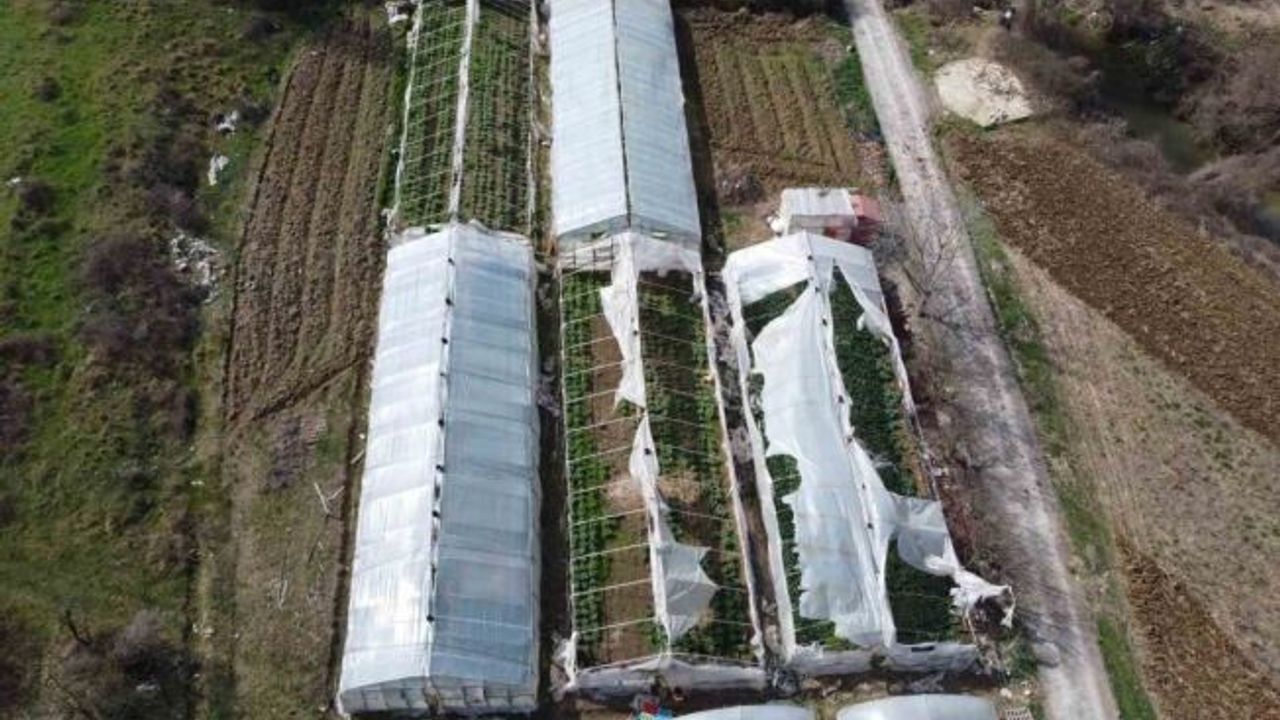 Yalova’da yenilenecek eski seraların kontrolleri devam ediyor