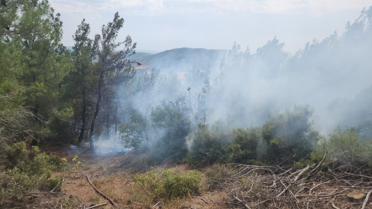 Gelibolu’da yıldırım düşmesi sonucu çıkan orman yangınına havadan ve karadan müdahale ediliyor