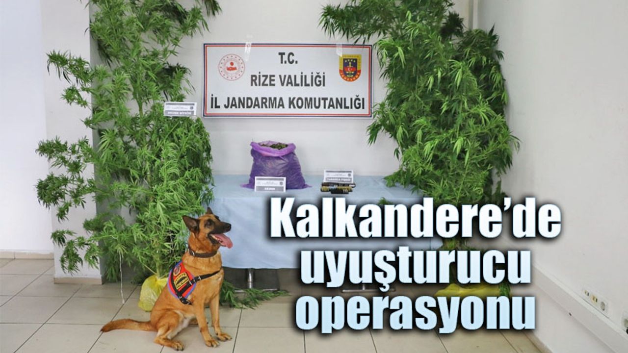 Kalkandere'de uyuşturucu operasyonu!