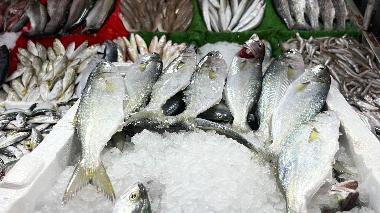 Ege ve Karadeniz’deki fırtına Kilis’teki balık tezgahlarını vurdu