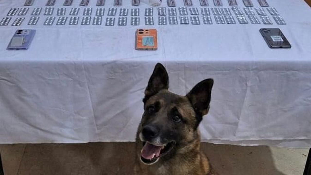 Kilis’te uyuşturucu operasyonu: 6 gözaltı