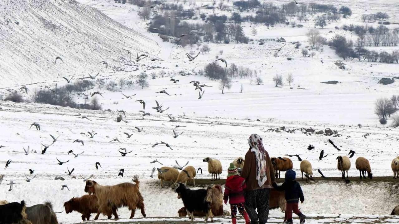 Erzincan’da “Köyümde Yaşamak İçin Bir Sürü Nedenim Var" projesi ile 179 üretici hayvan varlığını artırdı