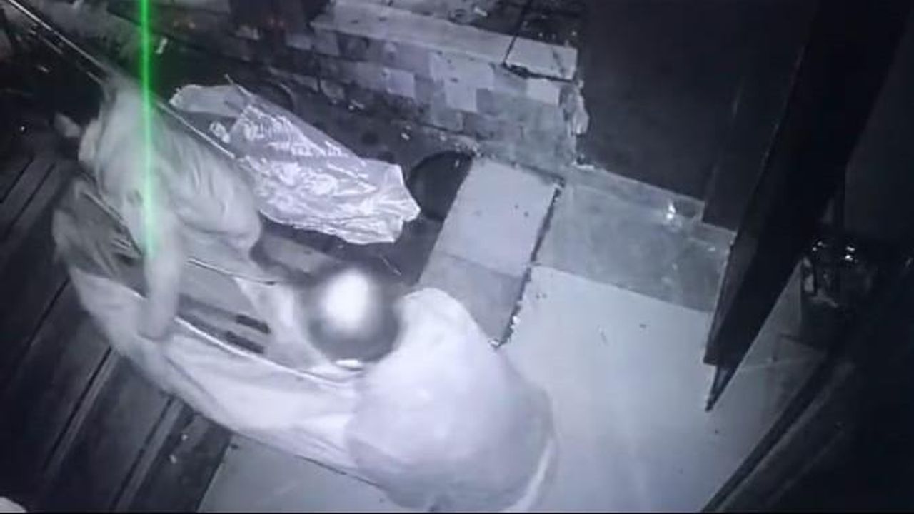 Malatya’da hasarlı apartmanı ikinci kez soyan hırsızlar kameraya yakalandı