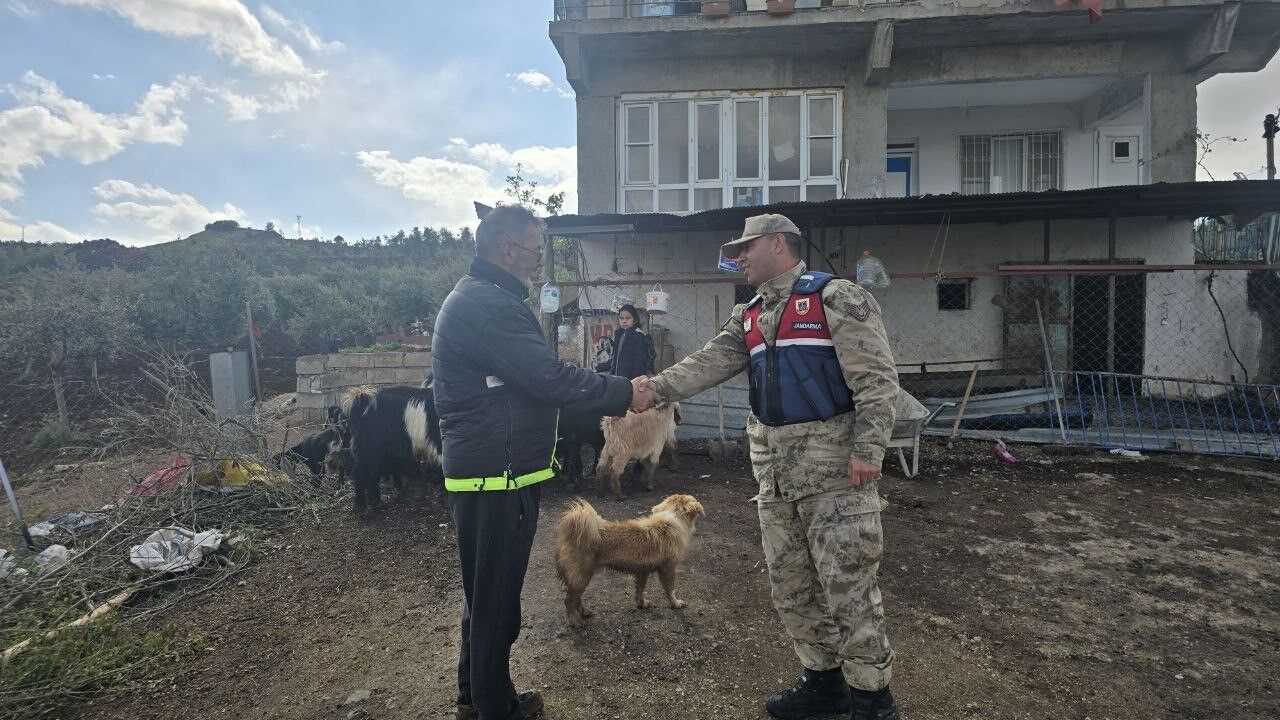 Kilis’te kayıp 26 küçükbaş hayvan ormanlık alanda bulundu