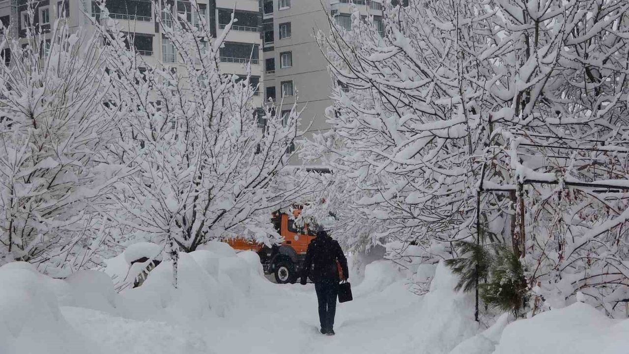 Bitlis'te kar yağışı yeniden etkili oldu