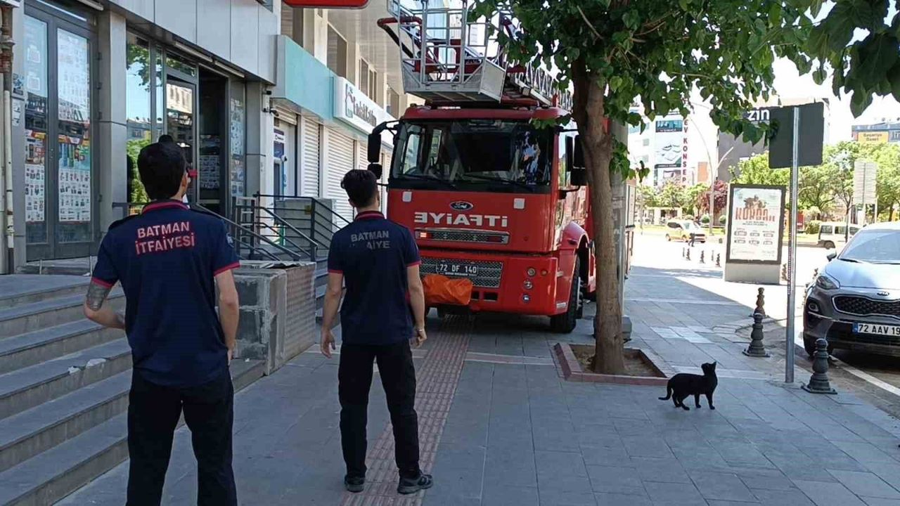 Batman'da vefakar kedi arkadaşını yalnız bırakmadı