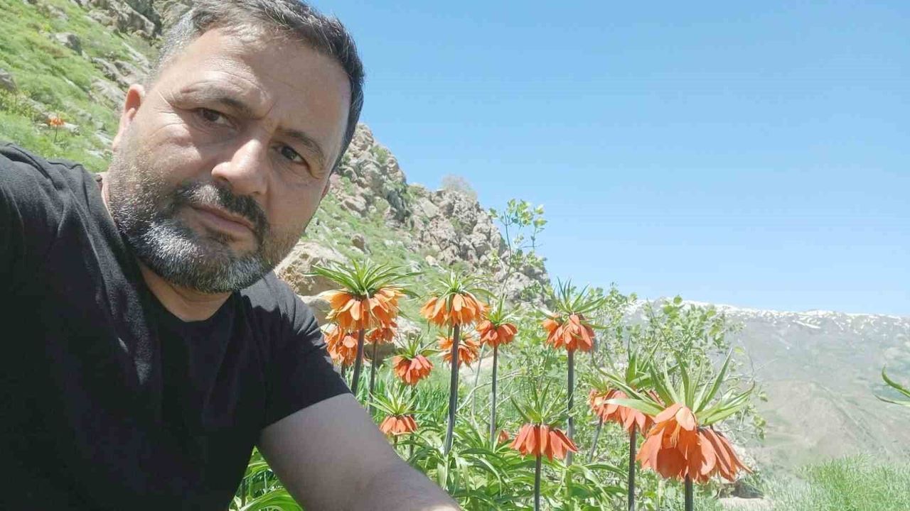 Hakkari'de 2 bin 700 rakımda ters laleler görüntülendi