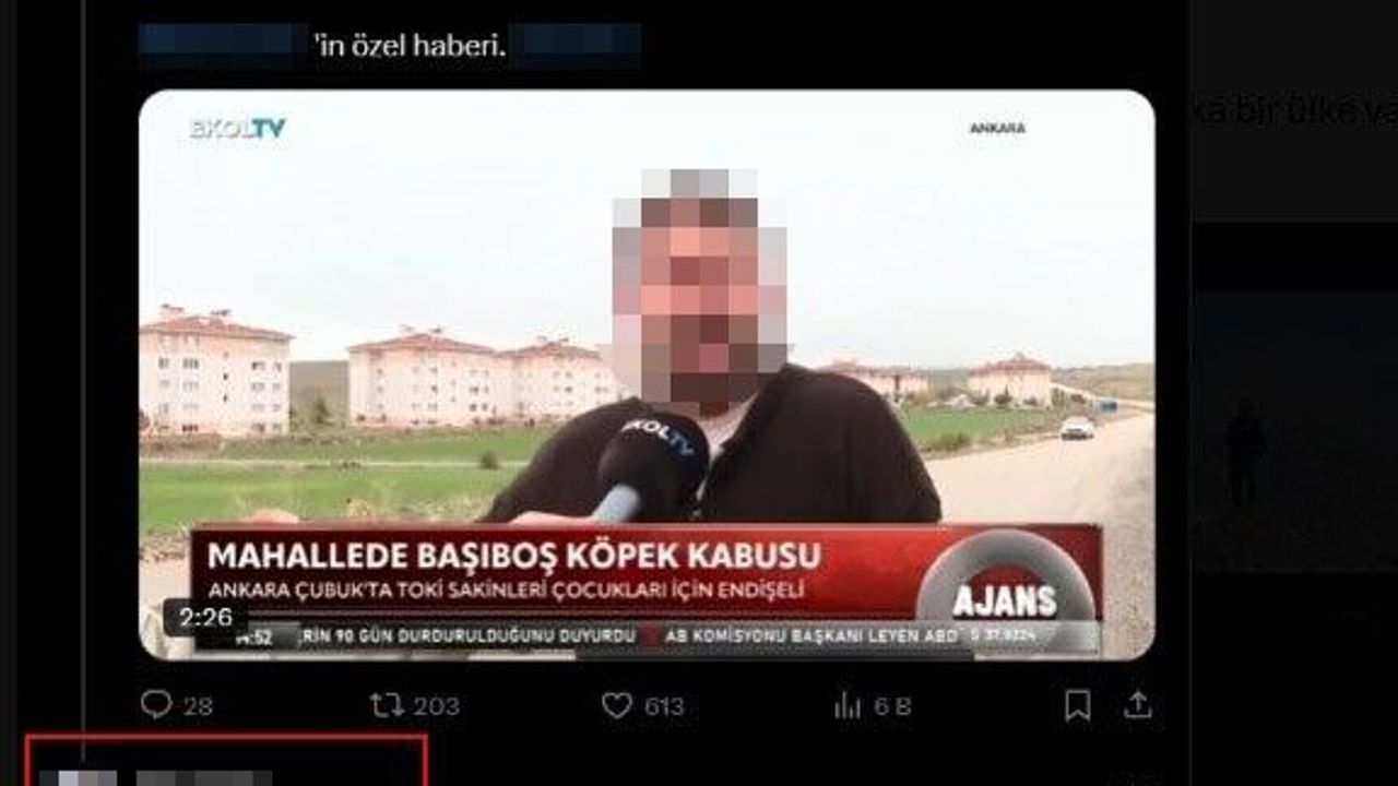 Aile sağlığı merkezindeki sedyede köpek tedavi eden doktorun