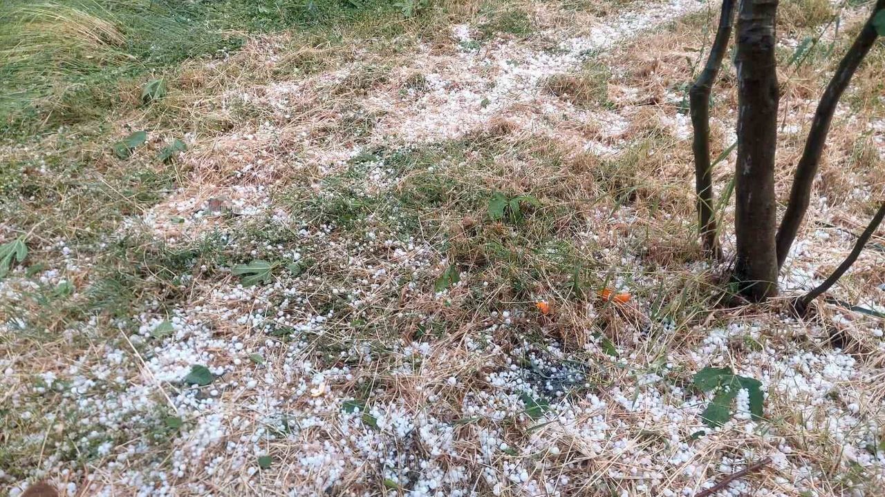 Aydın'da dolu etkili oldu, ağaçlar zarar gördü