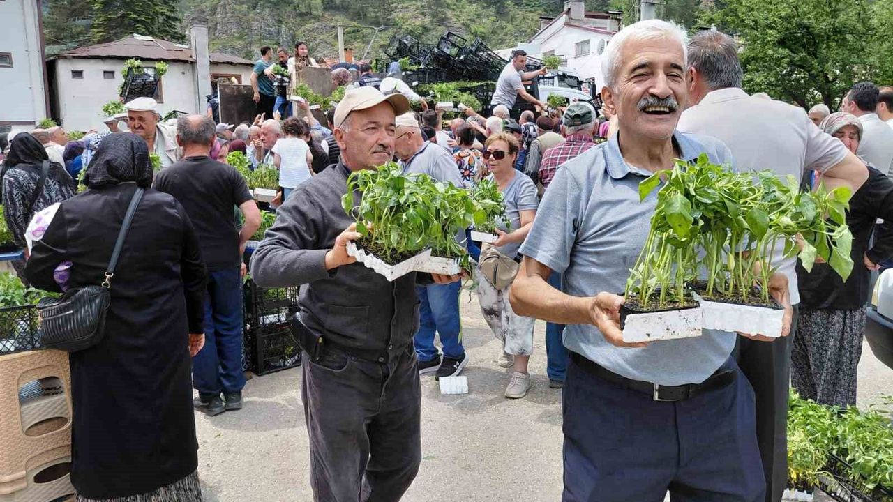 Bolu'da ücretsiz fide dağıtımına yoğun katılım