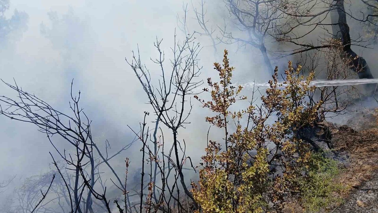 Bursa'da piknik alanı yakınındaki yangın korkuttu
