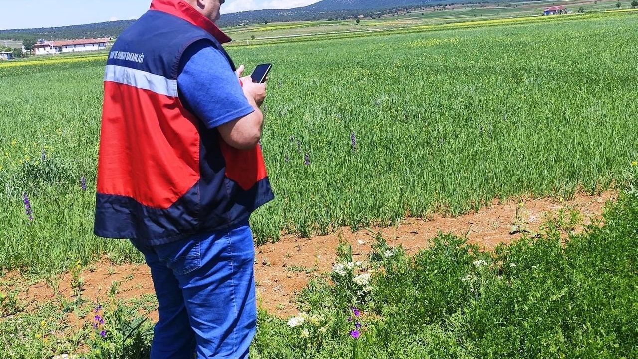 Çavdarhisar'da Referans Parsel Çalışmaları sürüyor