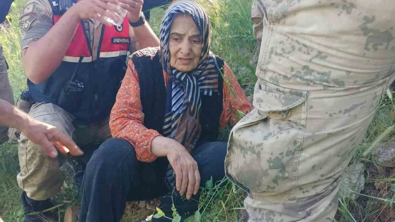 Çemişgezek'te kaybolan alzheimer hastası kadın jandarma tara