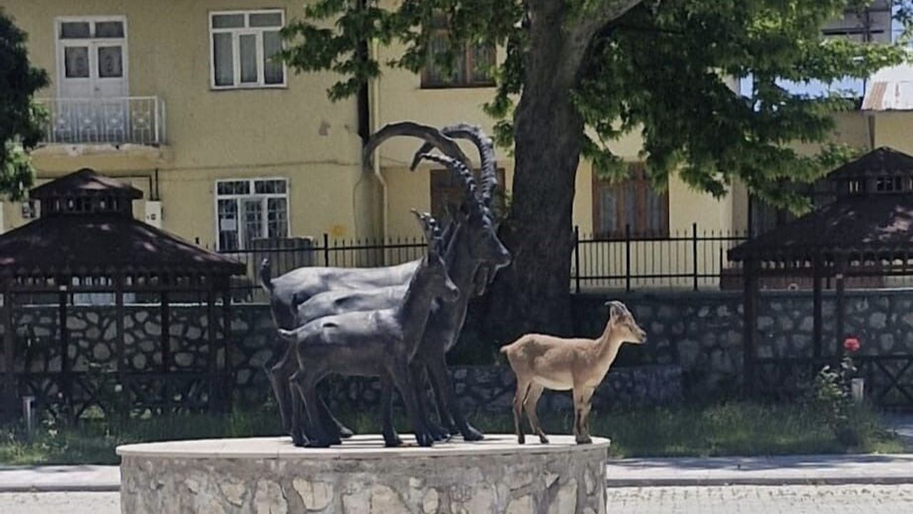 Çemişgezek'te tebessüm ettiren an: Gerçeği ve heykeli aynı k
