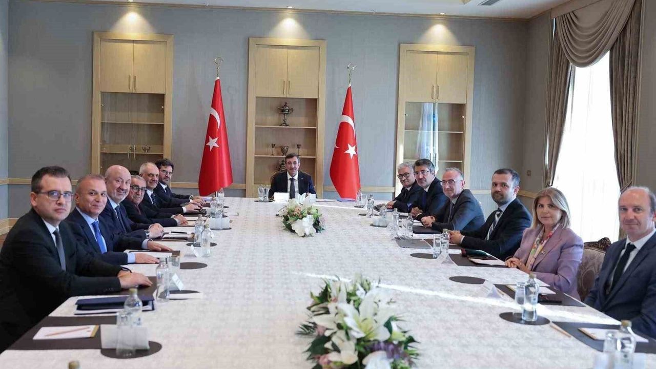 Cumhurbaşkanı Yardımcısı Yılmaz, Cumhurbaşkanlığı 