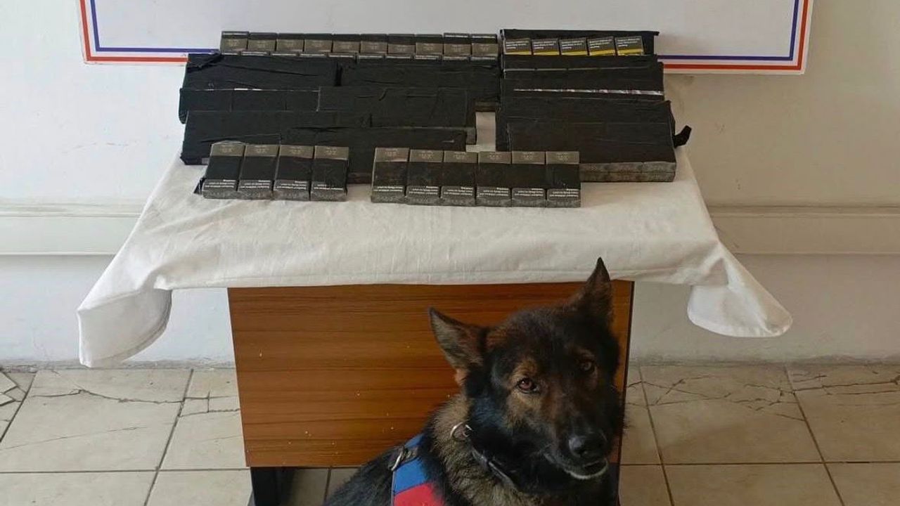 Diyadin'de 180 paket kaçak sigara yakalandı