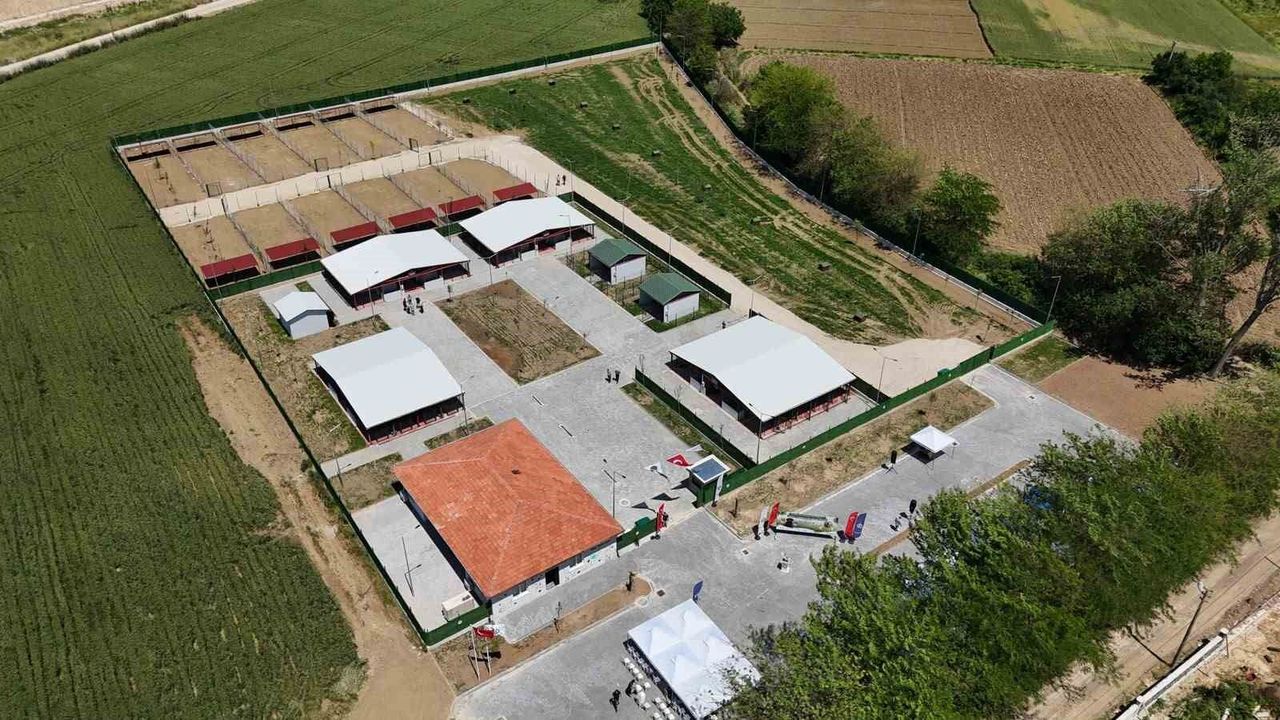Güney Marmara'nın en modern hayvan bakım evi Yenişehir'e açı