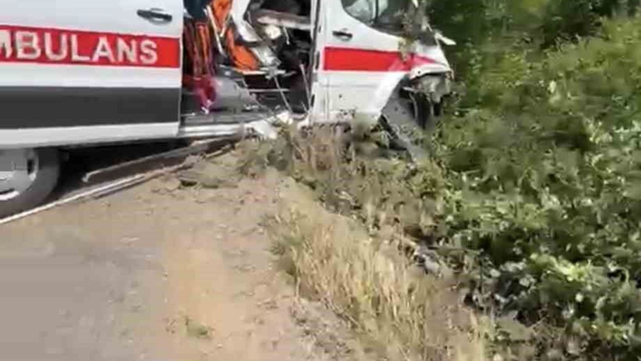 Hasta taşıyan ambulans yoldan çıkarak yeşillik alana savruld