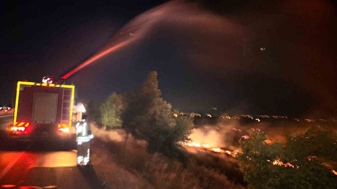 Hatay'da anız yangını zeytinliğe sıçradı: 200 dönüm arazi za