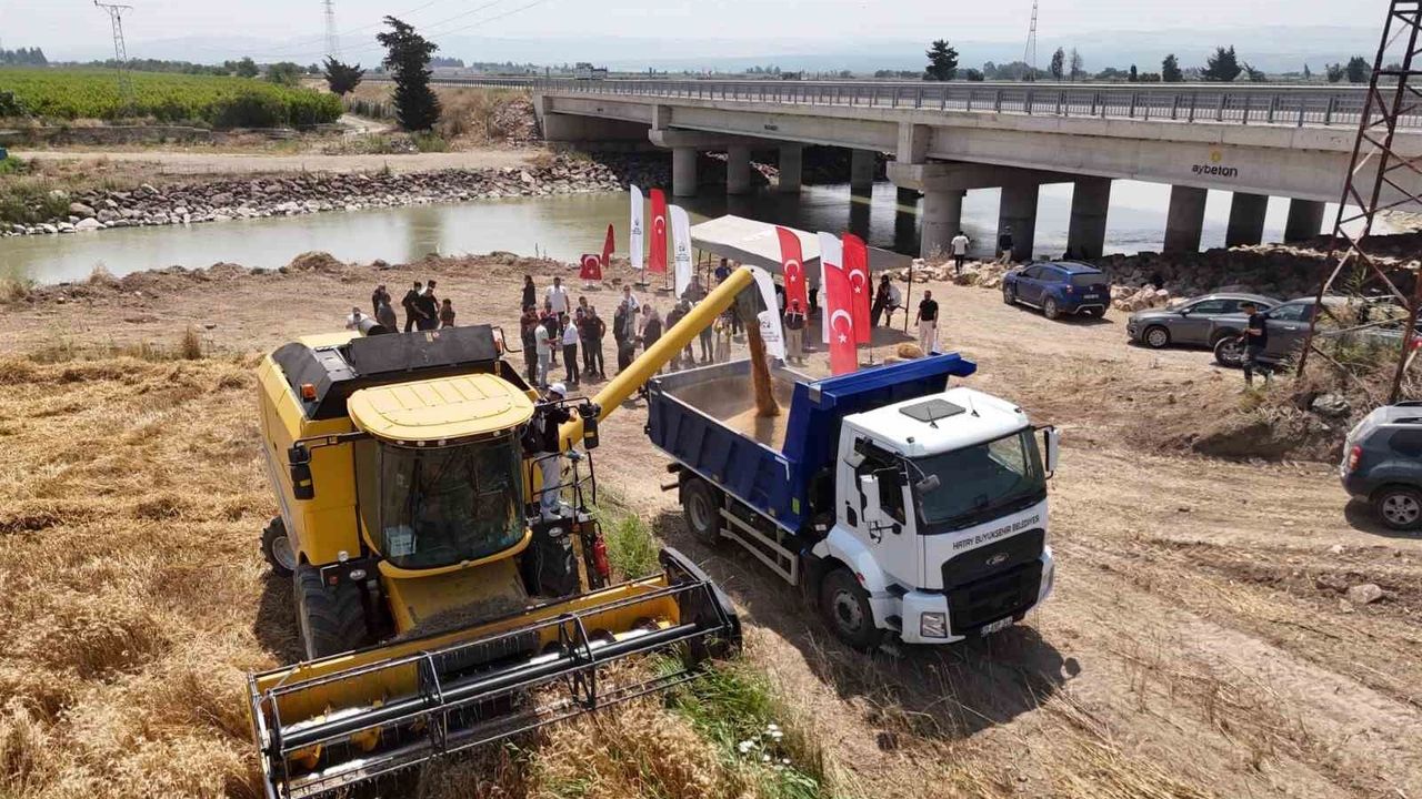 Hatay'da 'her tohum bir gıda' projesinde ekilen bu
