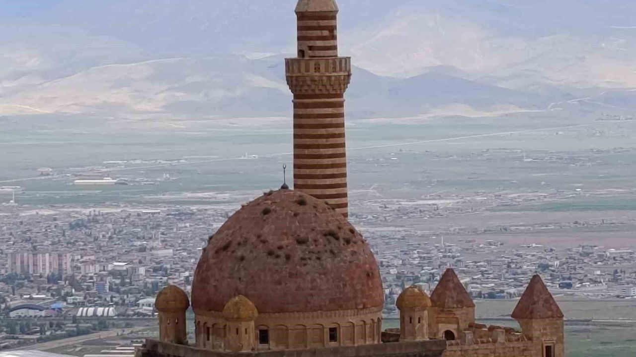 İshakpaşa Sarayı'nın kubbesindeki otlar ziyaretçilerin dikka