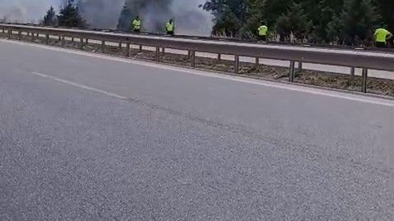 İzmir-Bursa kara yolunda alevler korkuttu