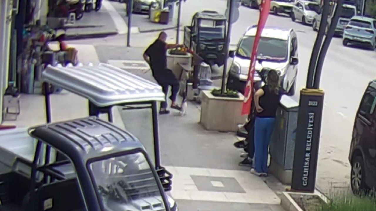Köpeğine saldıran kediye tekme attı, o anlar kameraya yansıdı