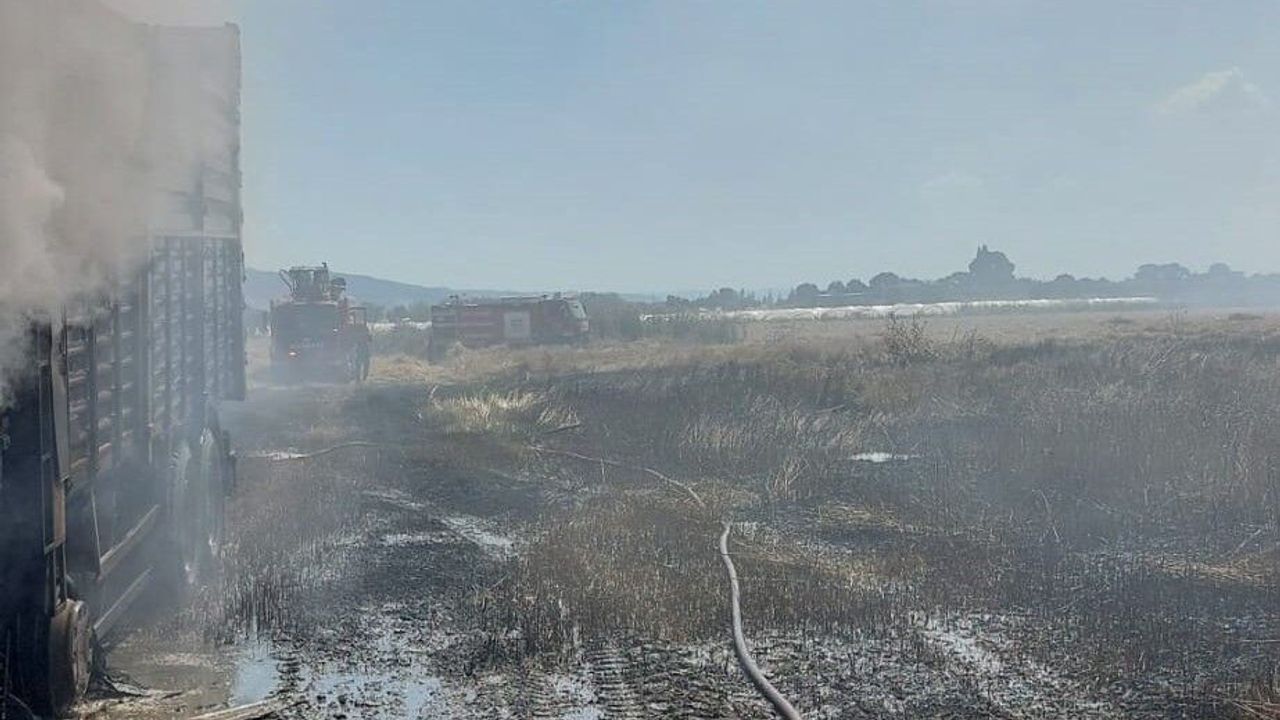 Köşk'te kamyon küle döndü, ekinler yandı