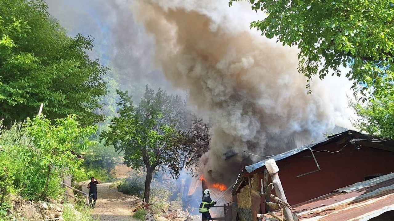 Kozan'da yayla evindeki yangın ormana sıçradı, ekipler müdahale ediyor