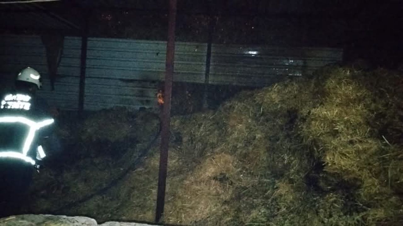 Kumlu'da samalık yangını