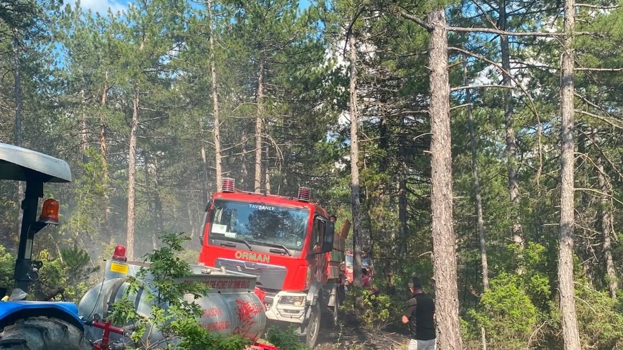 Kütahya'da yıldırım orman yangınına neden oldu