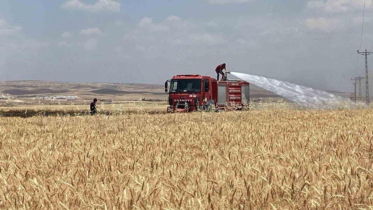Mardin'de yaklaşık 300 dönüm ekili alan alevlere teslim oldu